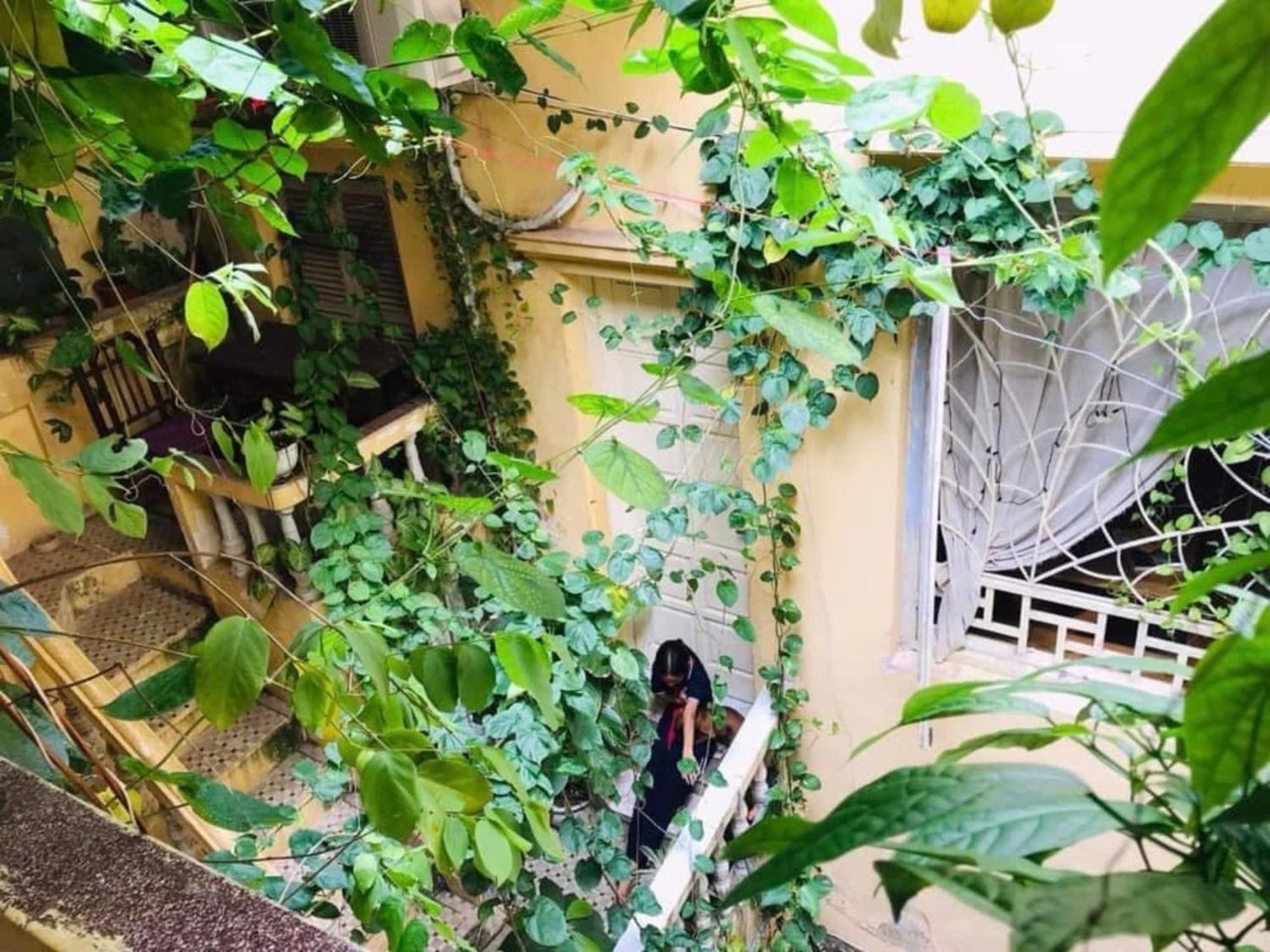 Azalea Apartment Hanoi Buitenkant foto